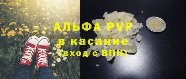 хмурый Долгопрудный