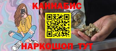 сатива Гай