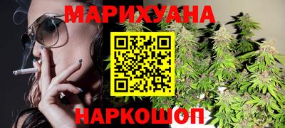 сатива Гай