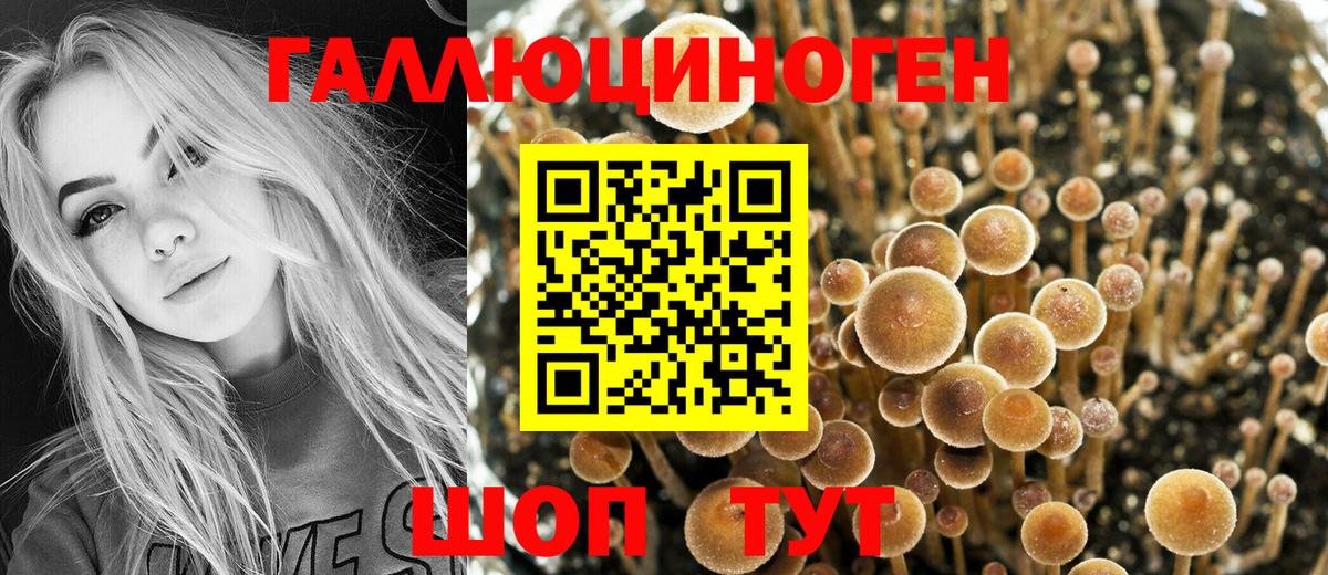 Галлюциногенные грибы Psilocybine cubensis Алушта