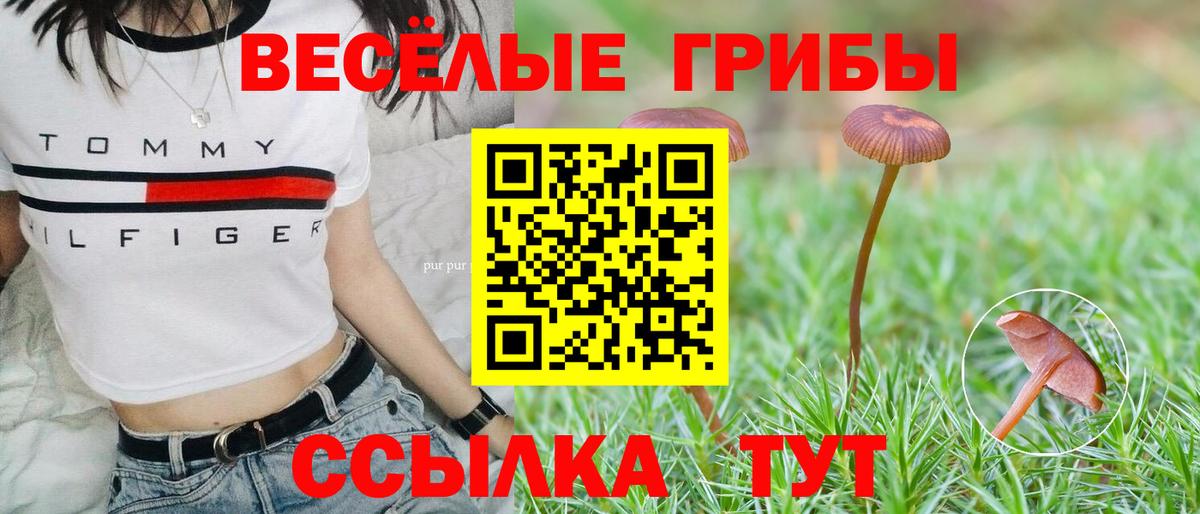 Галлюциногенные грибы ЛСД Алушта