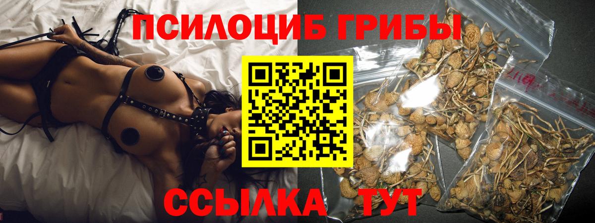 Псилоцибиновые грибы прущие грибы  Вход с VPN  хочу наркоту  Алушта 